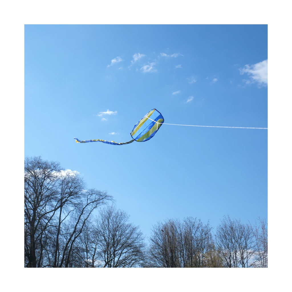 der-taschendrachen~5.webp
