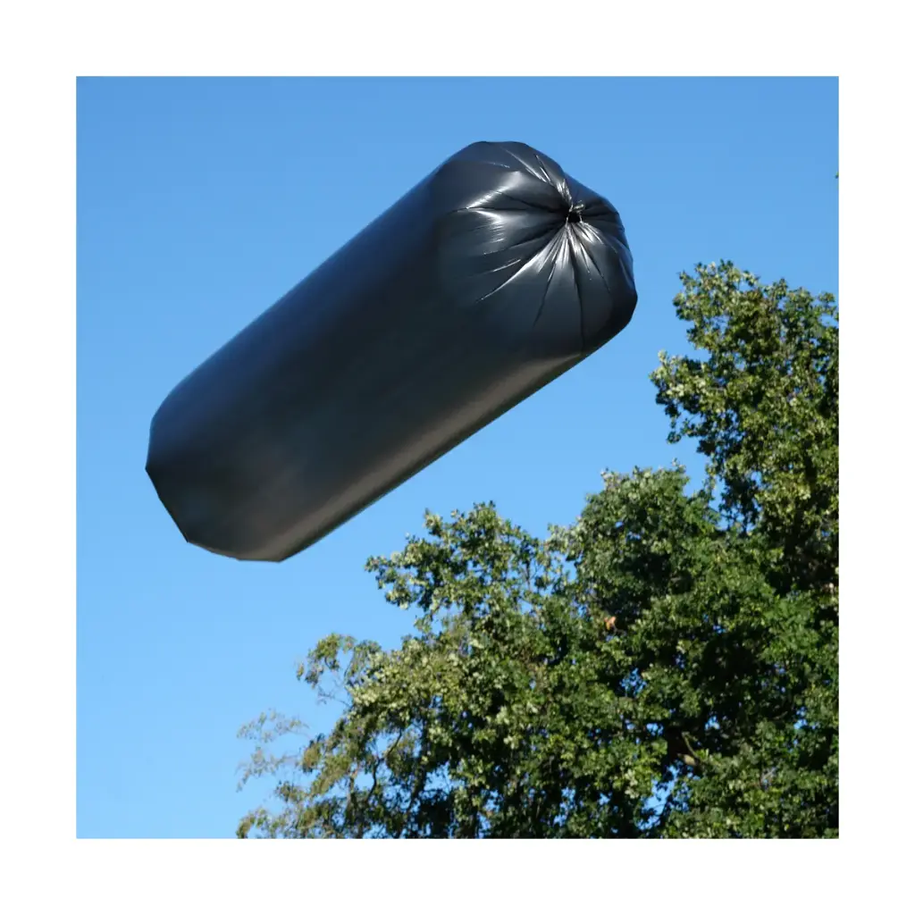 das-solar-luftschiff~3.webp