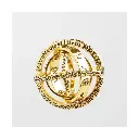 der-ring-der-astronomen~5.webp