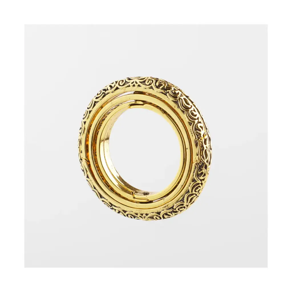der-ring-der-astronomen~4.webp
