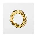 der-ring-der-astronomen~4.webp