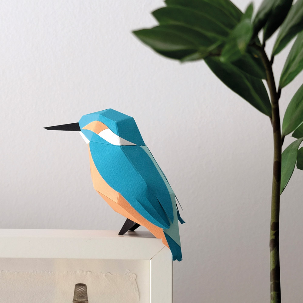 Alcedo Atthis