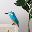 Alcedo Atthis