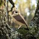plego-bird-mussol-2.webp