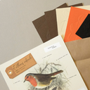 plego-bird-pitroig-9.webp