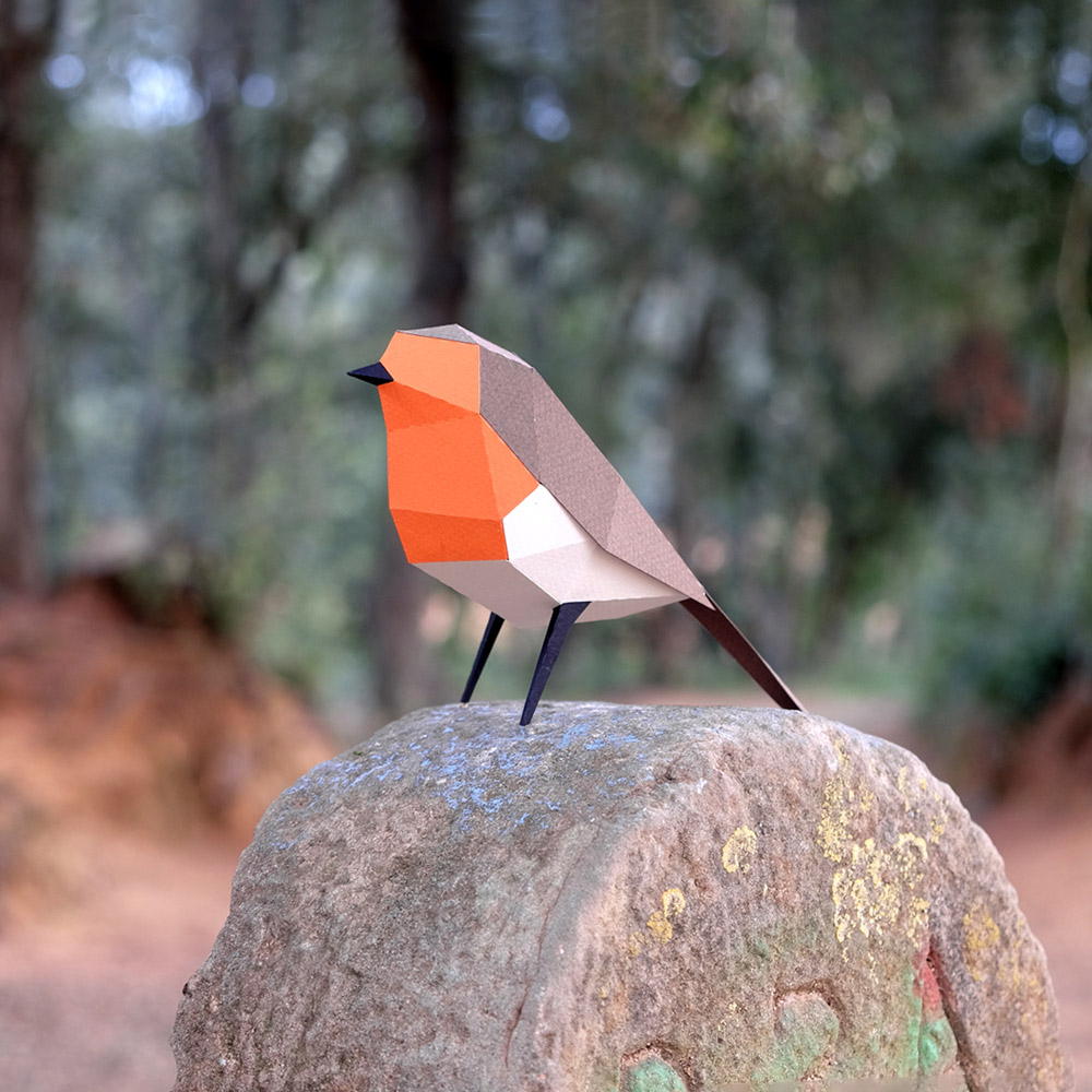plego-bird-pitroig-2.webp