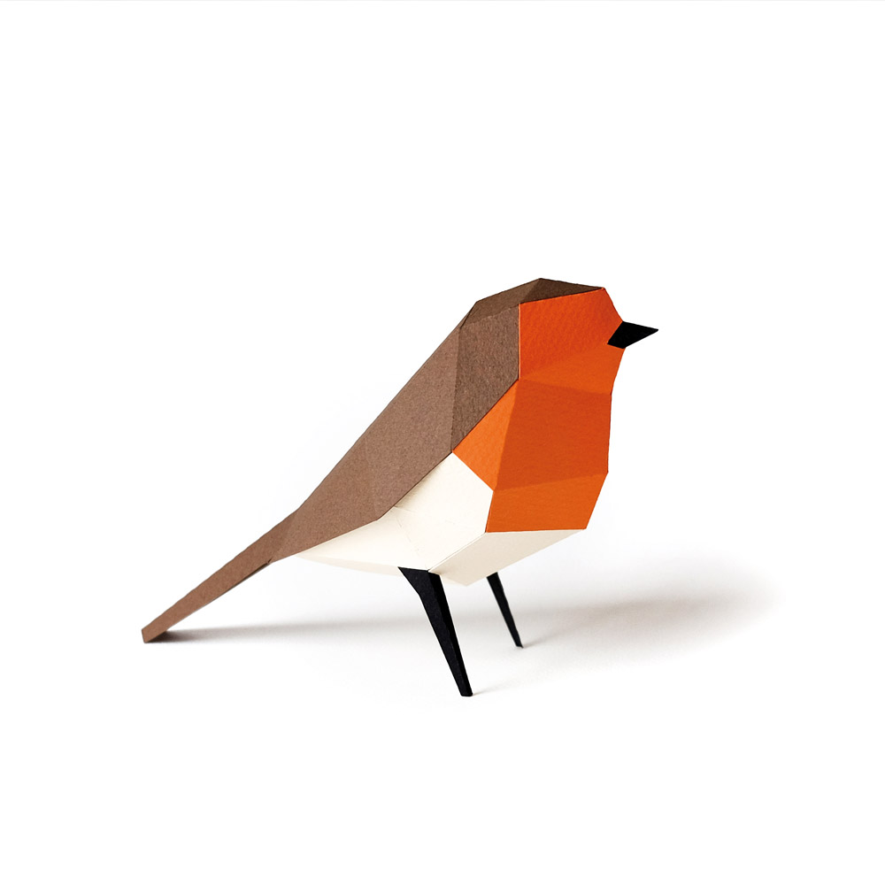 plego-bird-pitroig-6.webp