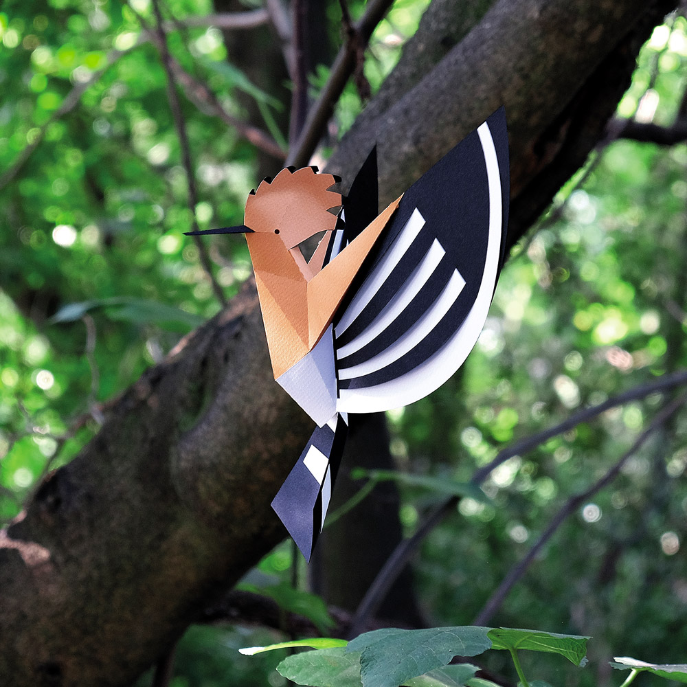 plego-bird-puput-2.webp