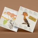 plego-bird-puput-8.webp