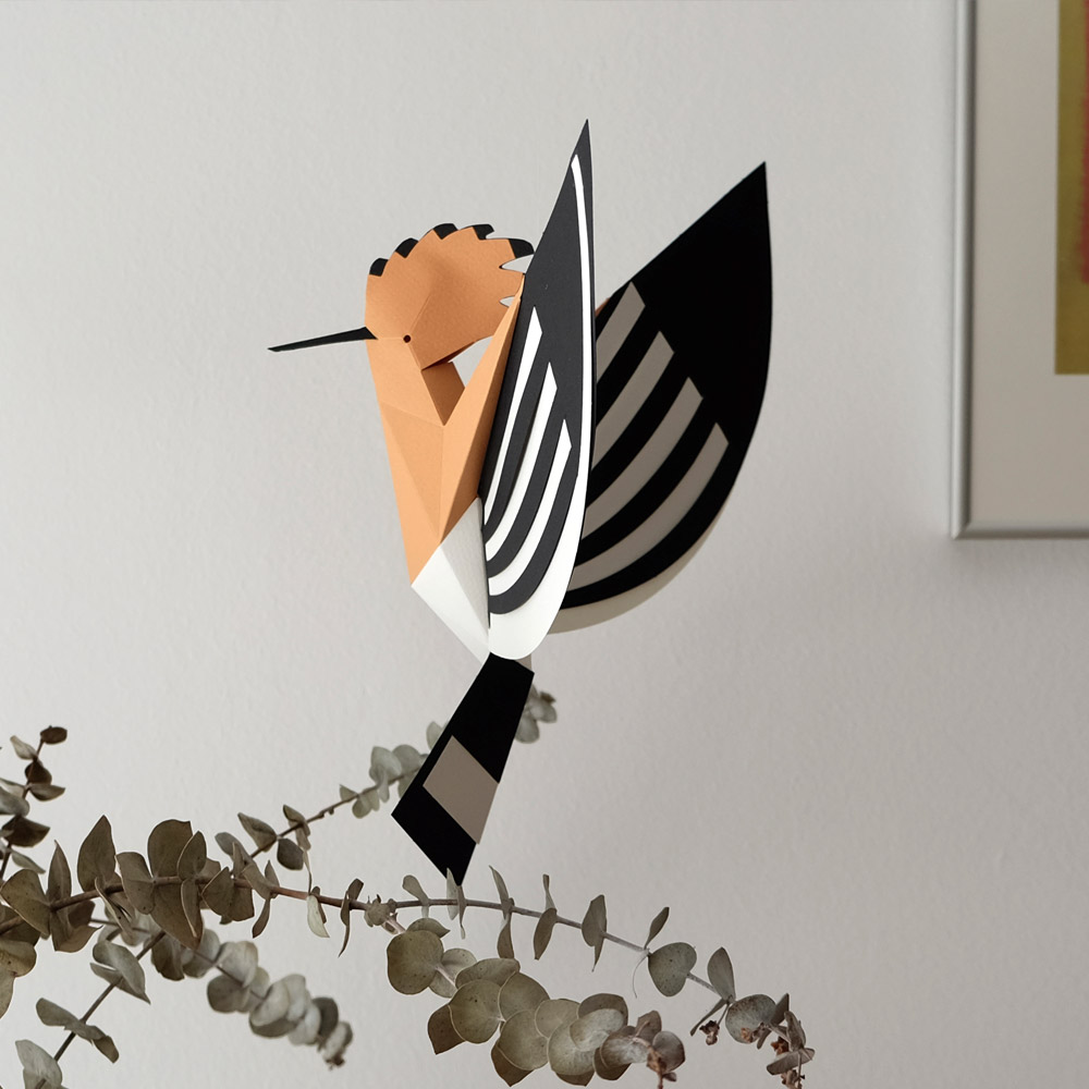 plego-bird-puput-6.webp