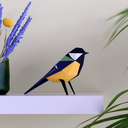 plego-bird-mallerenga-9.webp