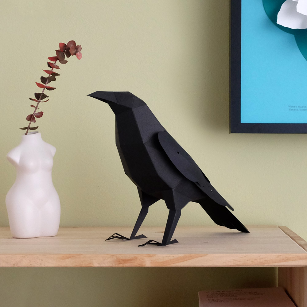 plego-bird-corb-3.webp