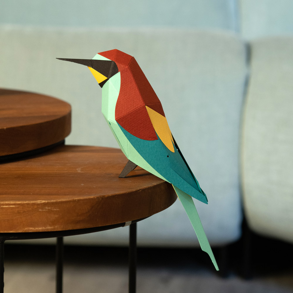 plego-bird-abellerol-4.webp
