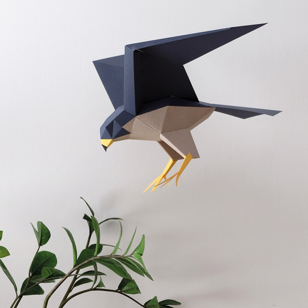 plego-bird-falco-2.webp