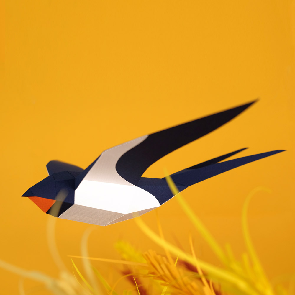 plego-bird-oreneta-3.webp