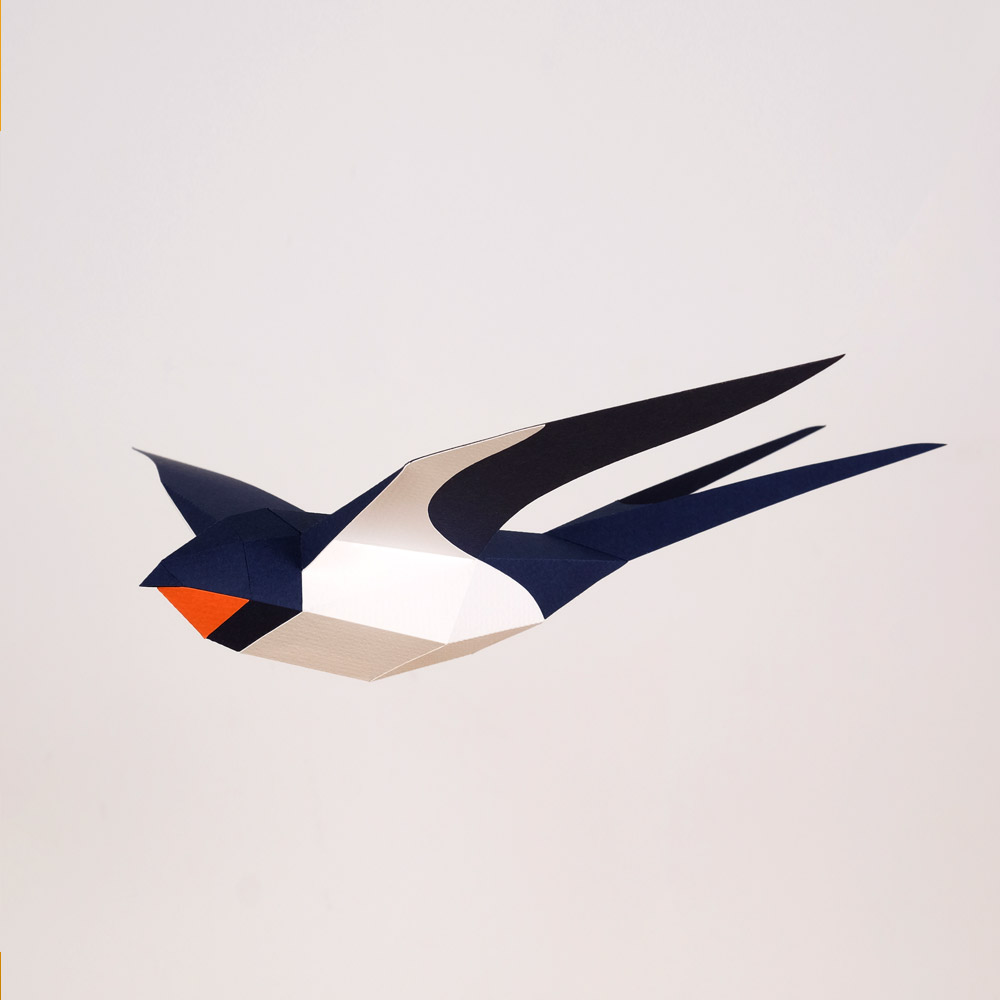 plego-bird-oreneta-5.webp