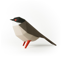 tallarol-aillat.webp