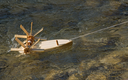 1000_3.webp