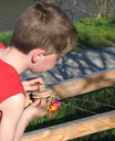 1240_K3.webp