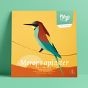 Merops Apiaster