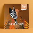 Upupa Epops