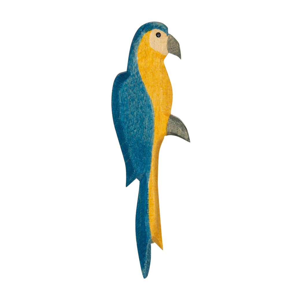 Ostheimer Papagei blau