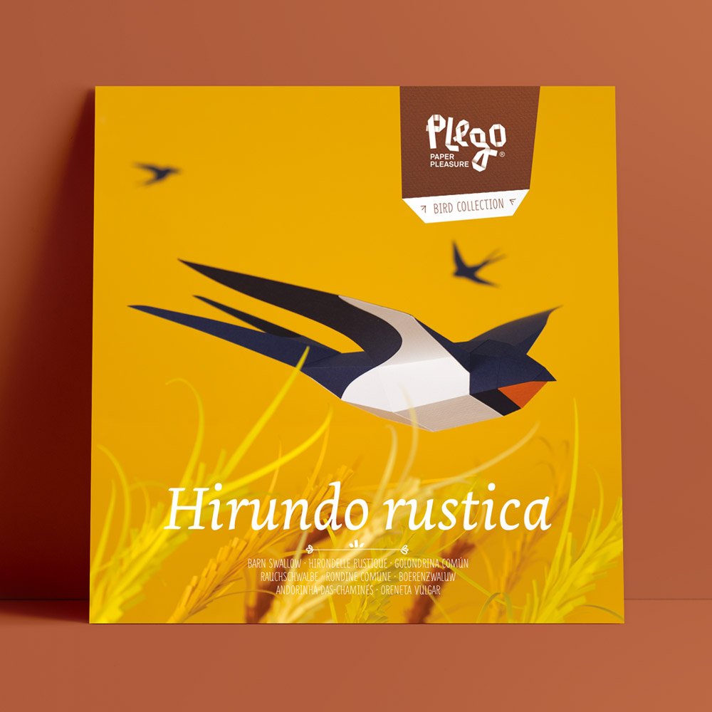 Hirundo Rustica