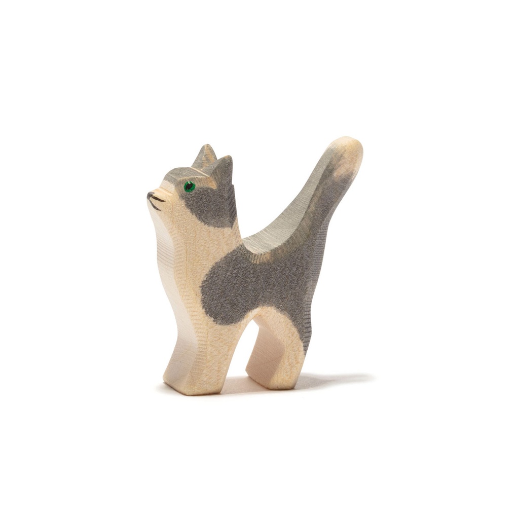 Ostheimer Katze klein Kopf hoch
