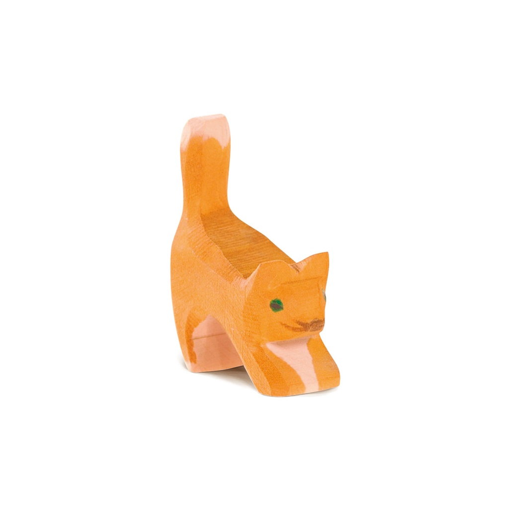 Ostheimer Katze klein Kopf tief