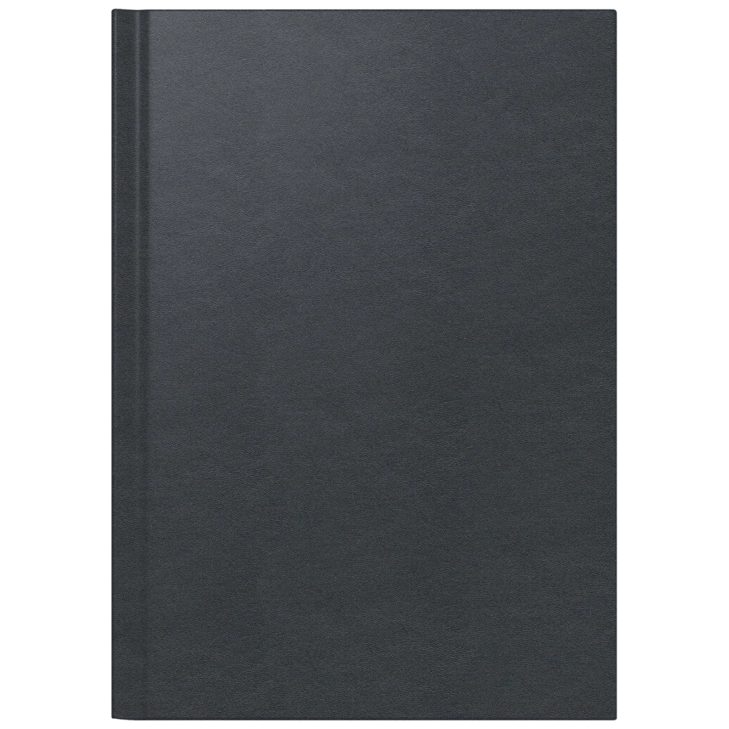 Brunnen Tageskalender Leder A5