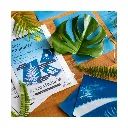 Das Solar-Fotopapier® (14 x 19 cm), 20 Blatt