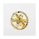 Der Ring der Astronomen