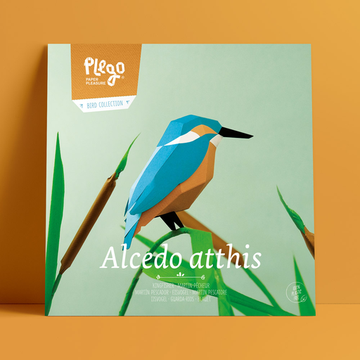 [OCE-BL] Alcedo Atthis