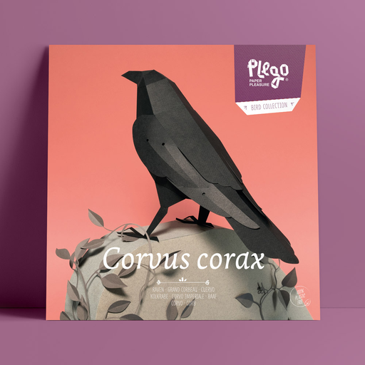 [OCE-CO] Corvus Corax