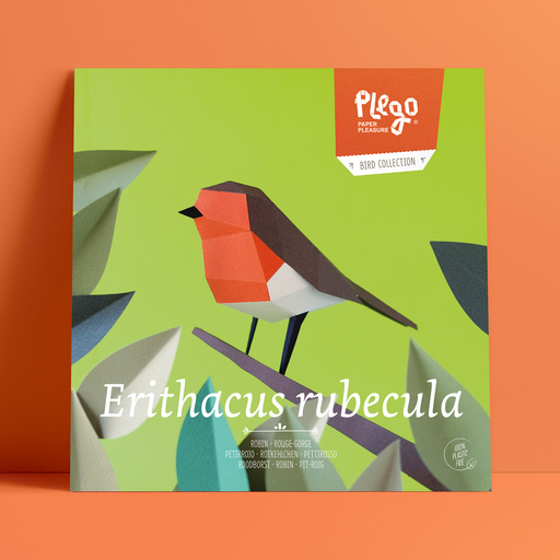 [OCE-MA1] Erithacus Rubecula
