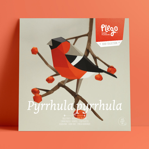 [OCE-PY] Pyrrhula Pyrrhula