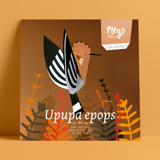 [OCE-PU] Upupa Epops