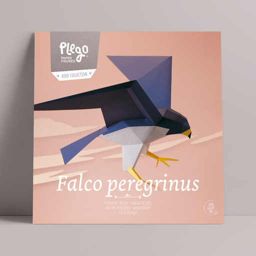Falco Peregrinus