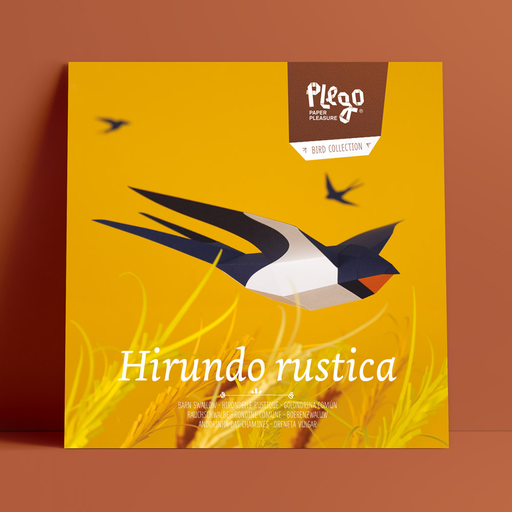 Hirundo Rustica