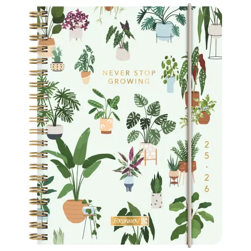 [1071855046] Brunnen Schülerkalender A6 Plan