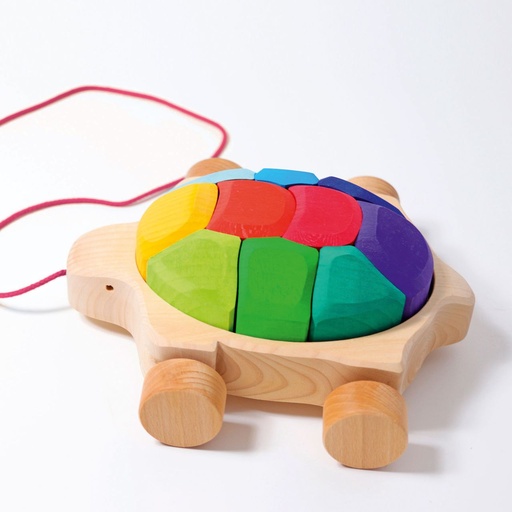 [9011] Regenbogen Schildkröte