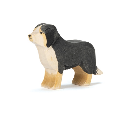 [10521] Ostheimer Berner Sennenhund