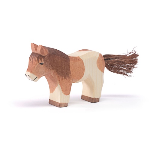 [11303] Shetland Pony stehend